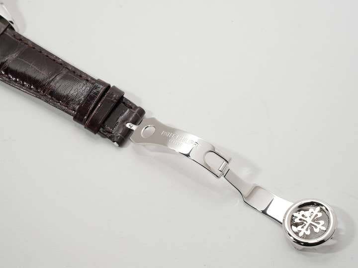 パテックフィリップ パーペチュアルカレンダー クロノグラフ Ref.5270P-001 プラチナ ゴールデンオパーリン文字盤