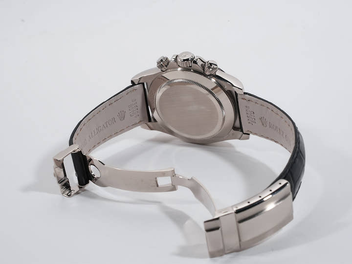 Rolex Daytona El Primero Ref. 16519 White Gold Pave Diamond x 8P Ruby Dial