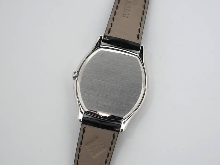 パテックフィリップ パーペチュアルカレンダー Ref.5040P プラチナ シルバー文字盤