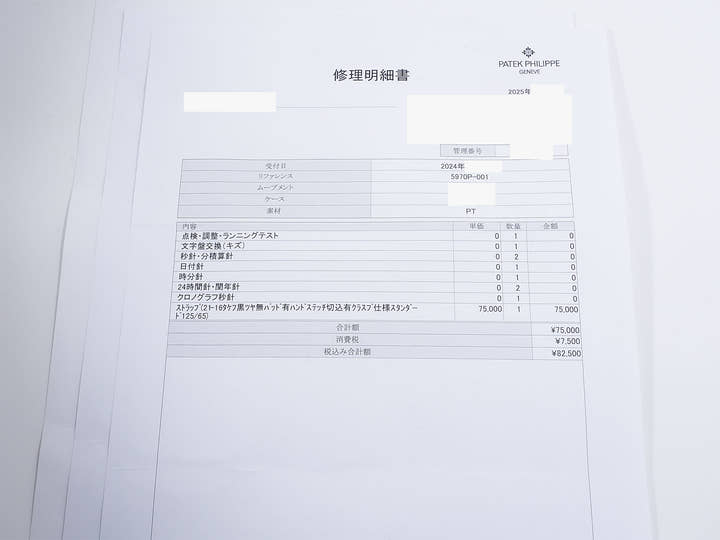 パテックフィリップ パーペチュアルカレンダー クロノグラフ Ref.5970P-001 プラチナ ブラック文字盤