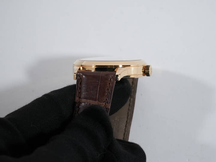 パテックフィリップ ワールドタイム クロワゾネ Ref.5231J-001 イエローゴールド クロワゾネ文字盤