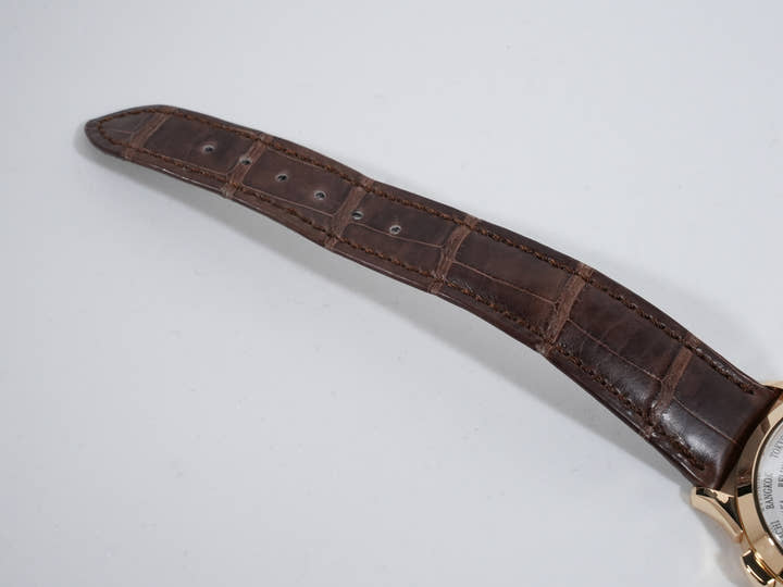 パテックフィリップ ワールドタイム クロワゾネ Ref.5231J-001 イエローゴールド クロワゾネ文字盤