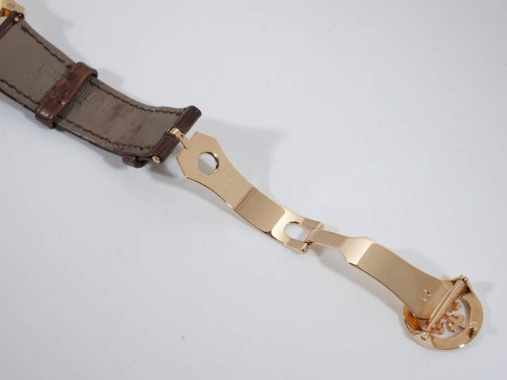 パテックフィリップ ワールドタイム クロワゾネ Ref.5231J-001 イエローゴールド クロワゾネ文字盤