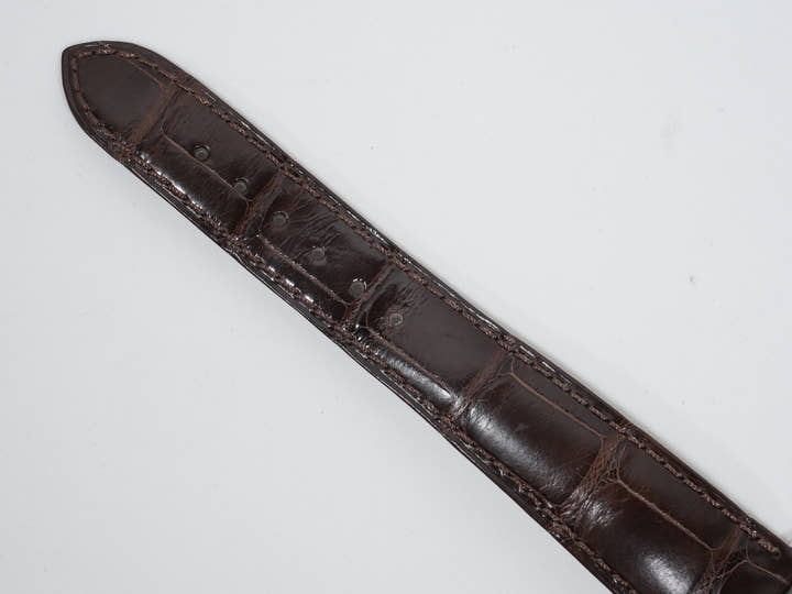 パテックフィリップ パーペチュアルカレンダー クロノグラフ Ref.5270P-001 プラチナ ゴールデンオパーリン文字盤