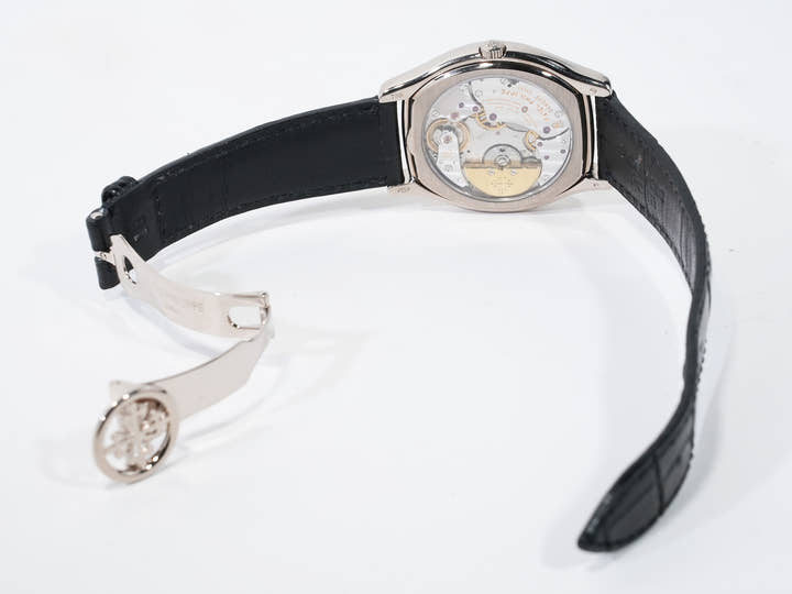 パテックフィリップ パーペチュアルカレンダー Ref.5040G-018 ホワイトゴールド シルバー文字盤 中古 bzcos9n2