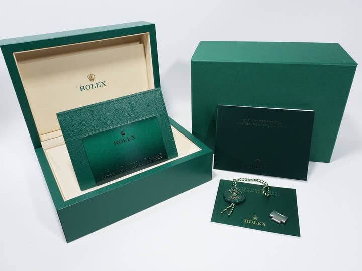 Rolex Oyster Perpetual 41 Ref.124300 Stainless Steel Pistachio Dial Unused xoutvy7j
