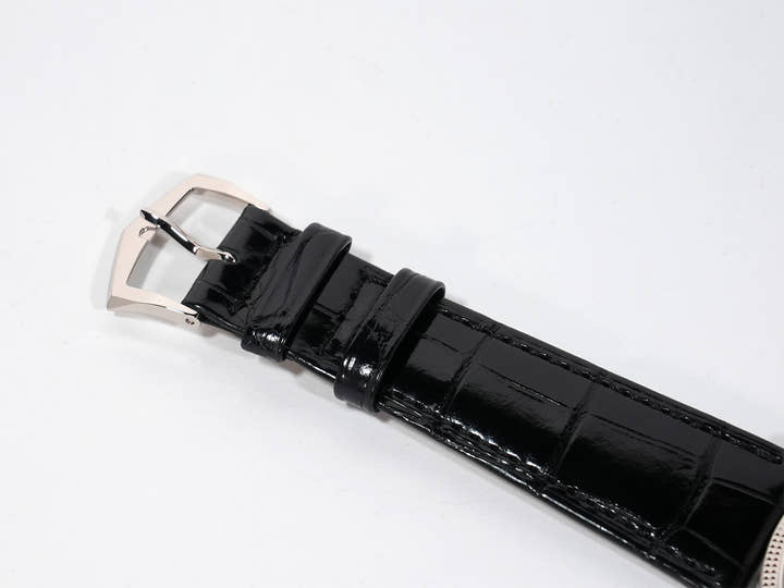 パテックフィリップ カラトラバ Ref.6119G-001 ホワイトゴールド グレー文字盤 未使用 wsmdjk8y