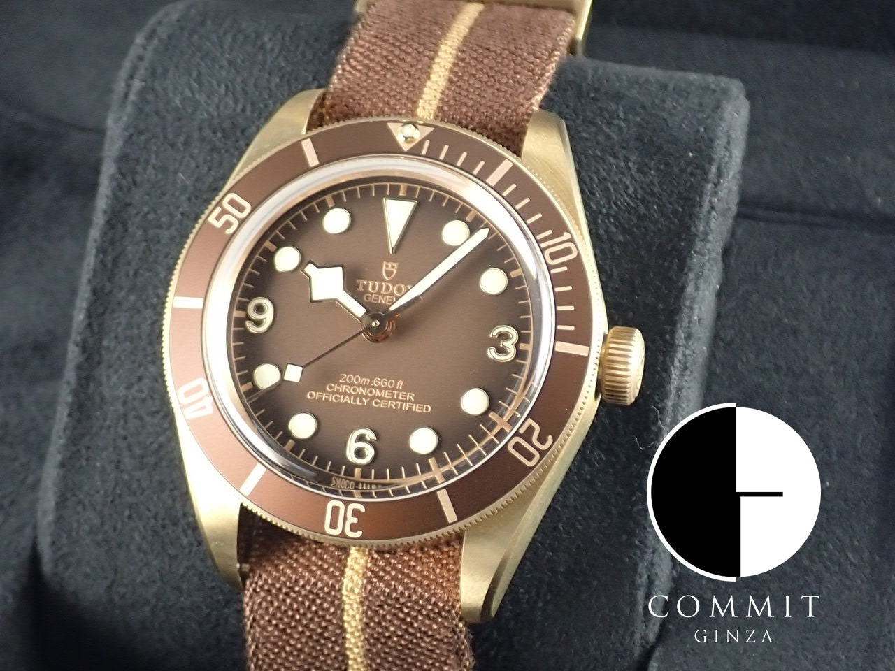 中古)TUDOR チューダー ヘリテージブラックベイ 79250BM