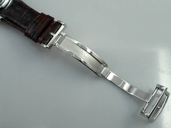 IWC ダヴィンチ パーペチュアル カレンダー クロノグラフ Ref.IW392103 グレー文字盤 美品 442A176T