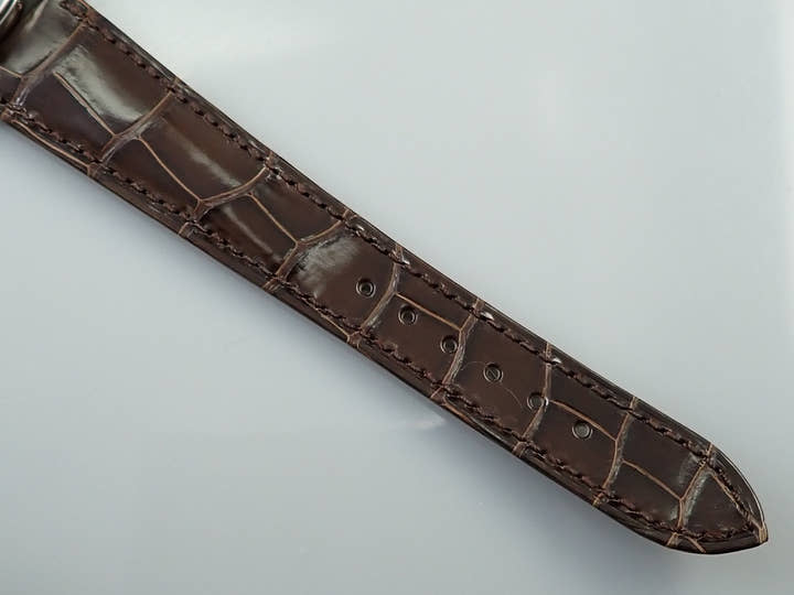 パテックフィリップ グランドコンプリケーション Ref.5496P-015 プラチナ シルバー文字盤