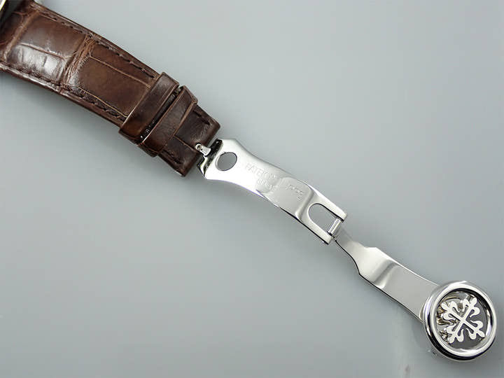 パテックフィリップ パーペチュアルカレンダー クロノグラフ Ref.5270P-001 プラチナ ゴールデンオパーリン文字盤