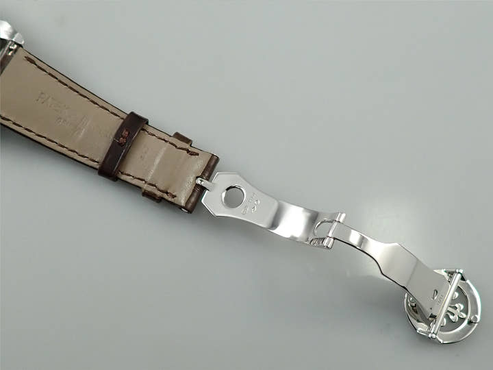 パテックフィリップ パーペチュアルカレンダー クロノグラフ Ref.5270P-001 プラチナ ゴールデンオパーリン文字盤