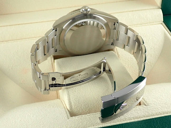 Rolex Sky-Dweller <Warranty, Box, etc.>