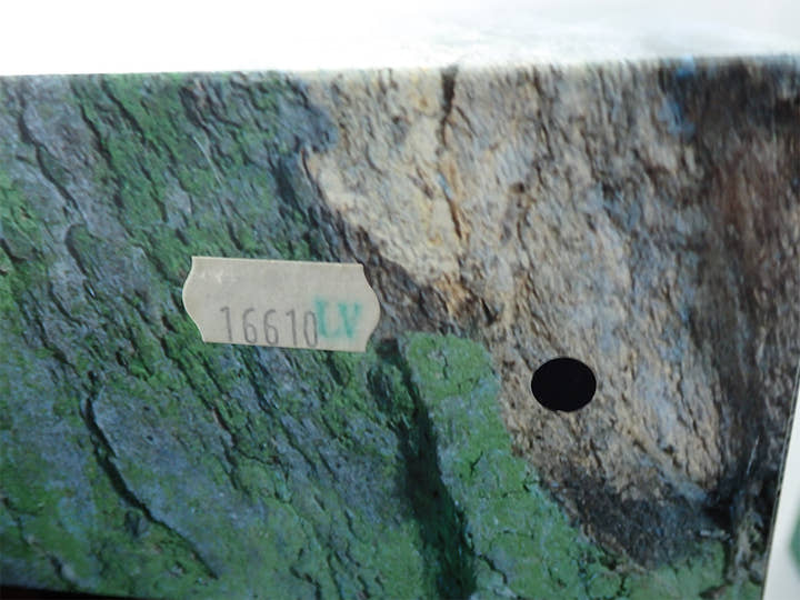 ロレックス サブマリーナー デイト Ref.16610LV ステンレススチール ブラック文字盤