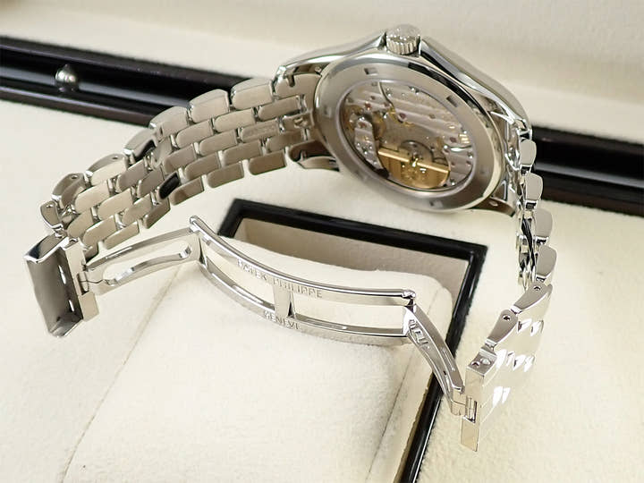 パテックフィリップ コンプリケーション ワールドタイム クロワゾネ Ref.5131/1P-001 プラチナ クロワゾネ文字盤