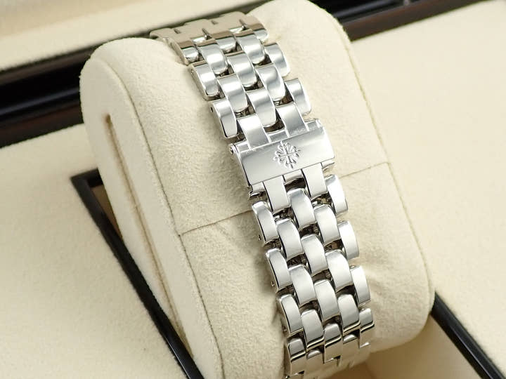 パテックフィリップ コンプリケーション ワールドタイム クロワゾネ Ref.5131/1P-001 プラチナ クロワゾネ文字盤