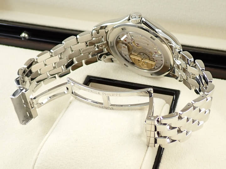 パテックフィリップ コンプリケーション ワールドタイム クロワゾネ Ref.5131/1P-001 プラチナ クロワゾネ文字盤