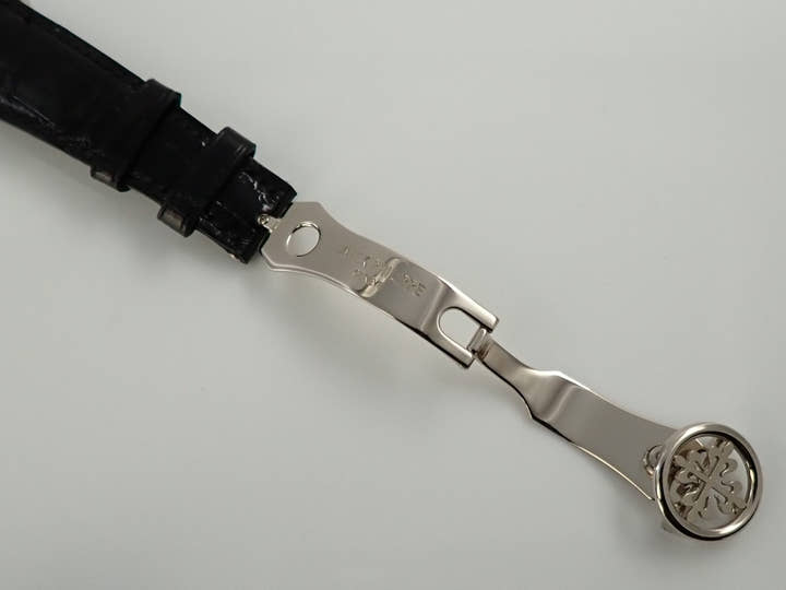 パテックフィリップ コンプリケーション ワールドタイム Ref.5110G-001 ホワイトゴールド シルバー文字盤