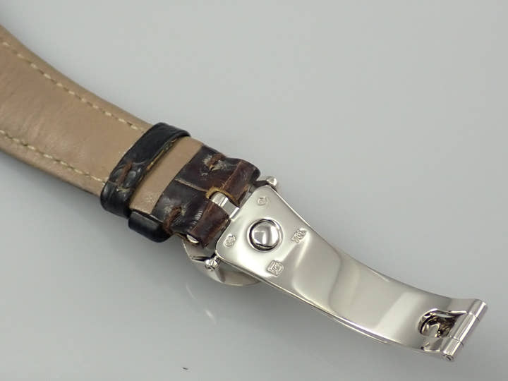 パテックフィリップ コンプリケーション ワールドタイム Ref.5110G-001 ホワイトゴールド シルバー文字盤