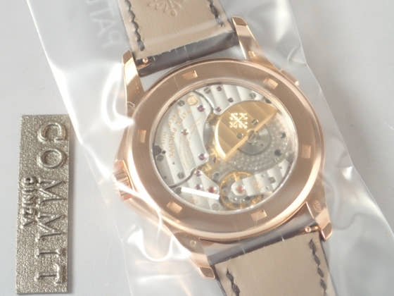 パテックフィリップ ワールドタイム Ref.5131R クロワゾネ七宝装飾文字盤 新品 worldtime-6