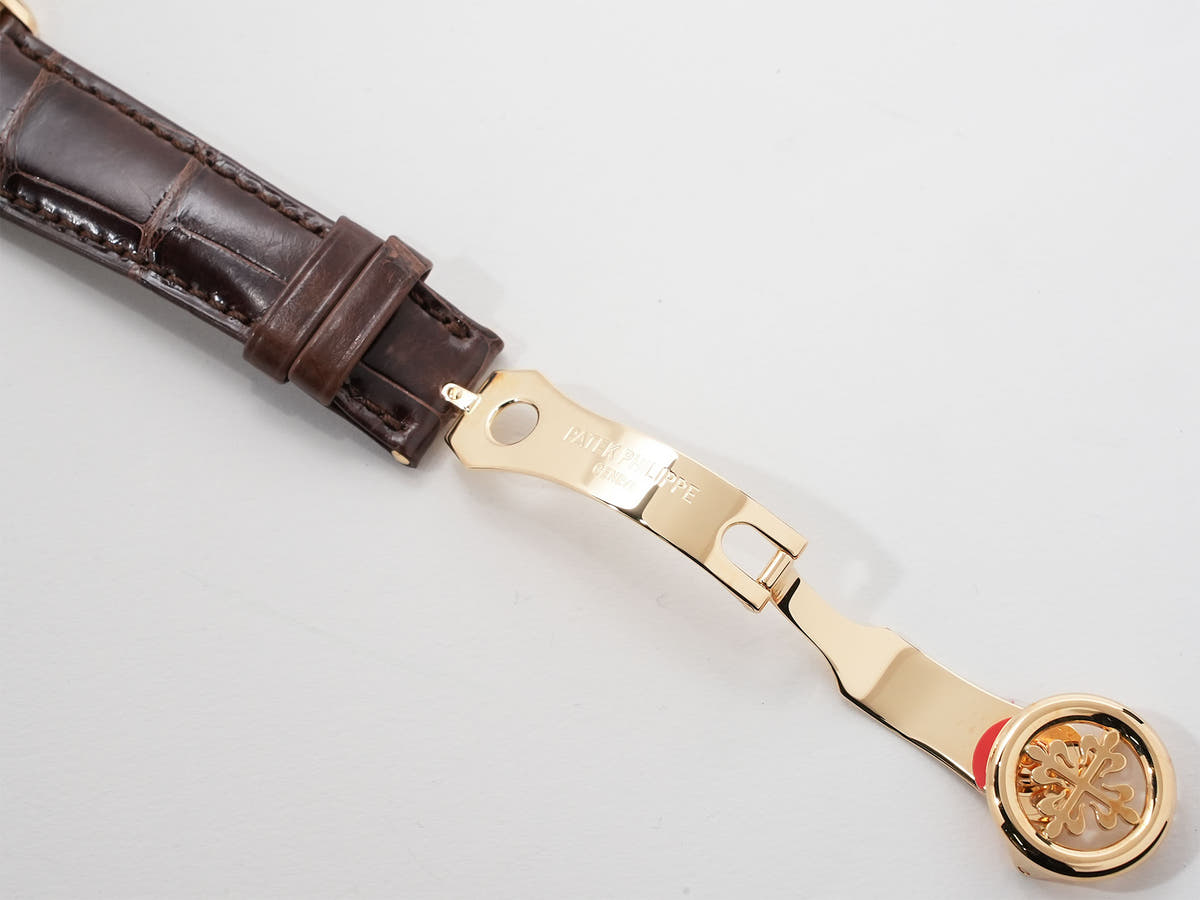 Patek Philippe World Time Cloisonné Ref.5231J-001 Cloisonné dial Unused uqiem4m3