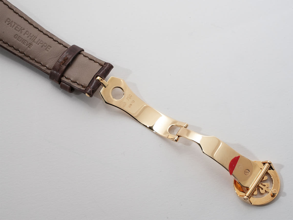 Patek Philippe World Time Cloisonné Ref.5231J-001 Cloisonné dial Unused uqiem4m3