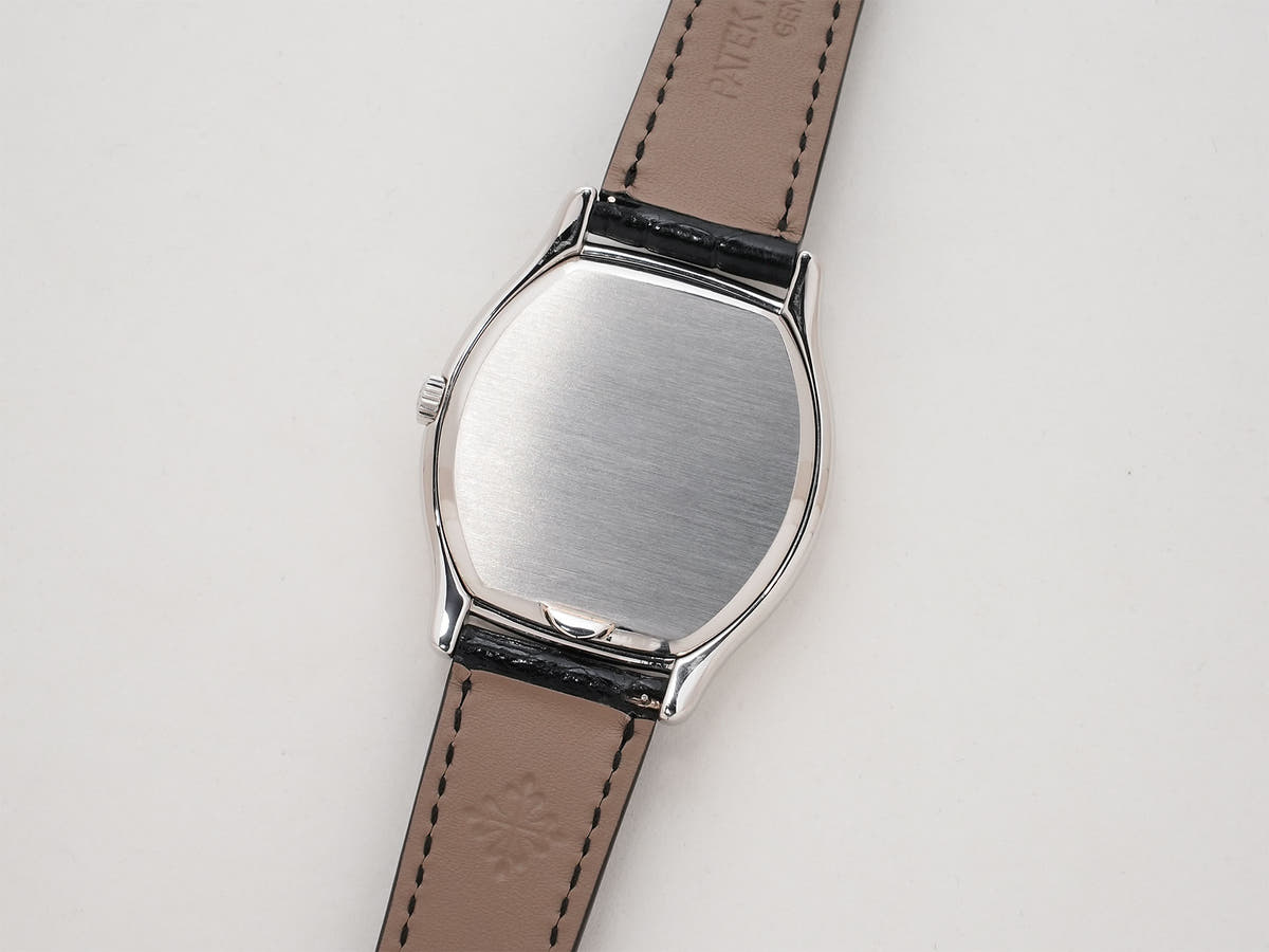 パテックフィリップ パーペチュアルカレンダー Ref.5040P PT シルバー文字盤 美中古 z67efxaw