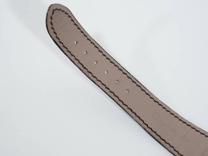 パテックフィリップ パーペチュアルカレンダー クロノグラフ Ref.5270P-001 プラチナ ゴールデンオパーリン文字盤 美中古 69igzf4f