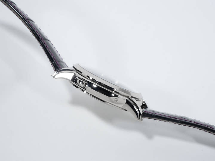 パテックフィリップ コンプリケーション ワールドタイム デイト Ref.5330G-010 ホワイトゴールド パープル文字盤 美品 b5st3ehs