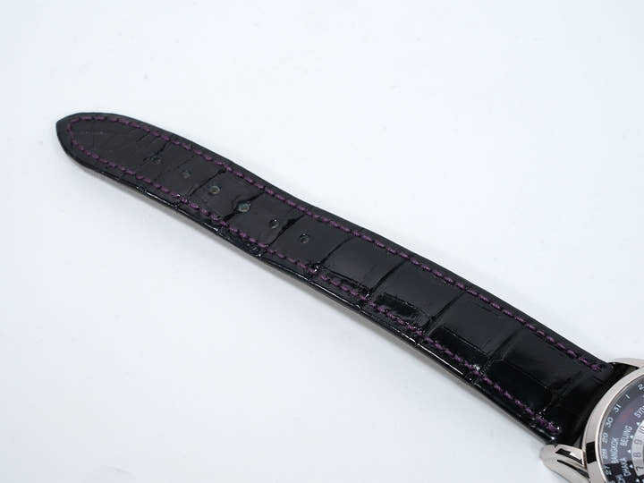 パテックフィリップ コンプリケーション ワールドタイム デイト Ref.5330G-010 ホワイトゴールド パープル文字盤 美品 b5st3ehs