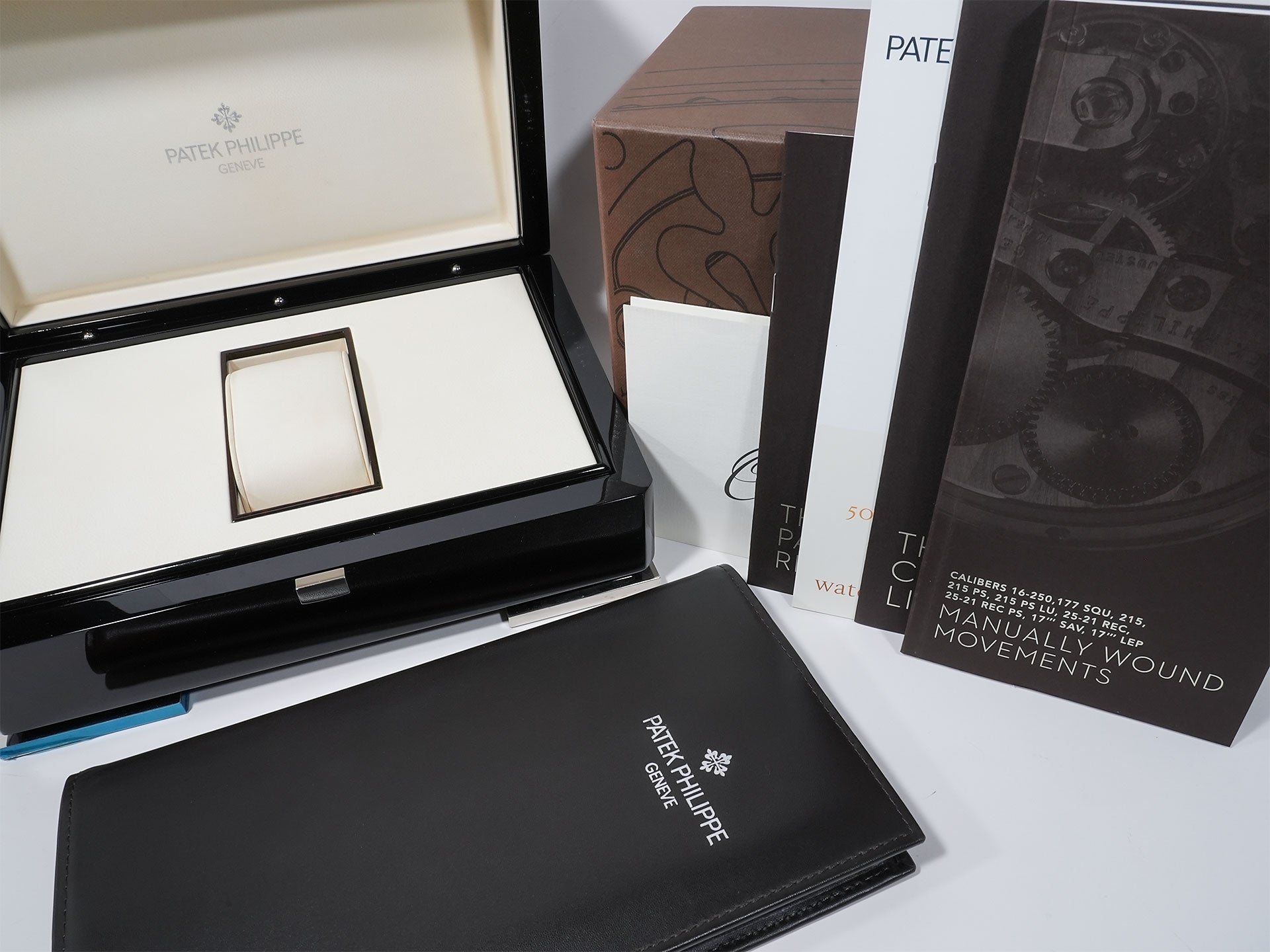 Patek Philippe Calatrava Ref. 5196P-001 Platinum Silver Dial Pre-owned c9wuitj7