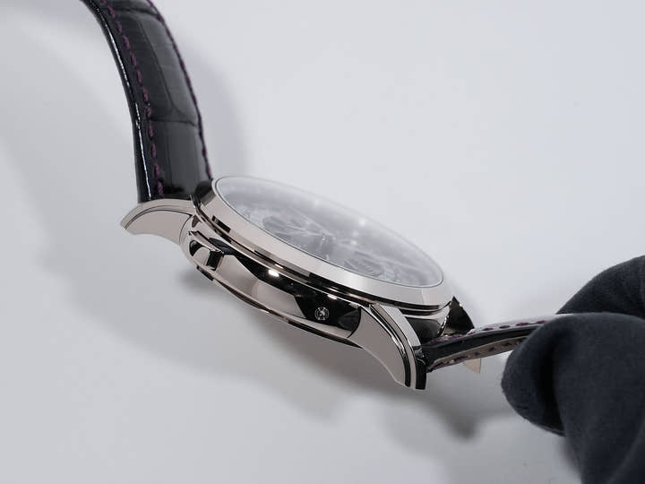 パテックフィリップ コンプリケーション ワールドタイム デイト Ref.5330G-010 ホワイトゴールド パープル文字盤 未使用 ujcn96t8
