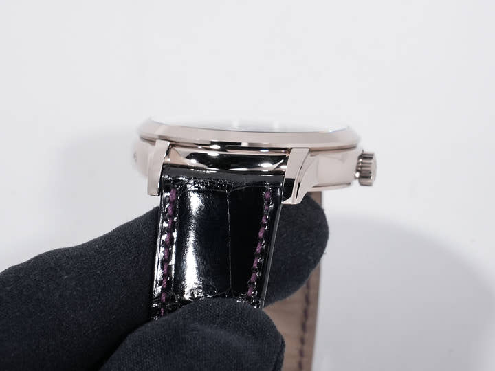 パテックフィリップ コンプリケーション ワールドタイム デイト Ref.5330G-010 ホワイトゴールド パープル文字盤 未使用 fifiwstx