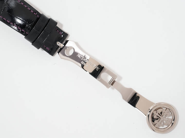 パテックフィリップ コンプリケーション ワールドタイム デイト Ref.5330G-010 ホワイトゴールド パープル文字盤 未使用 fifiwstx