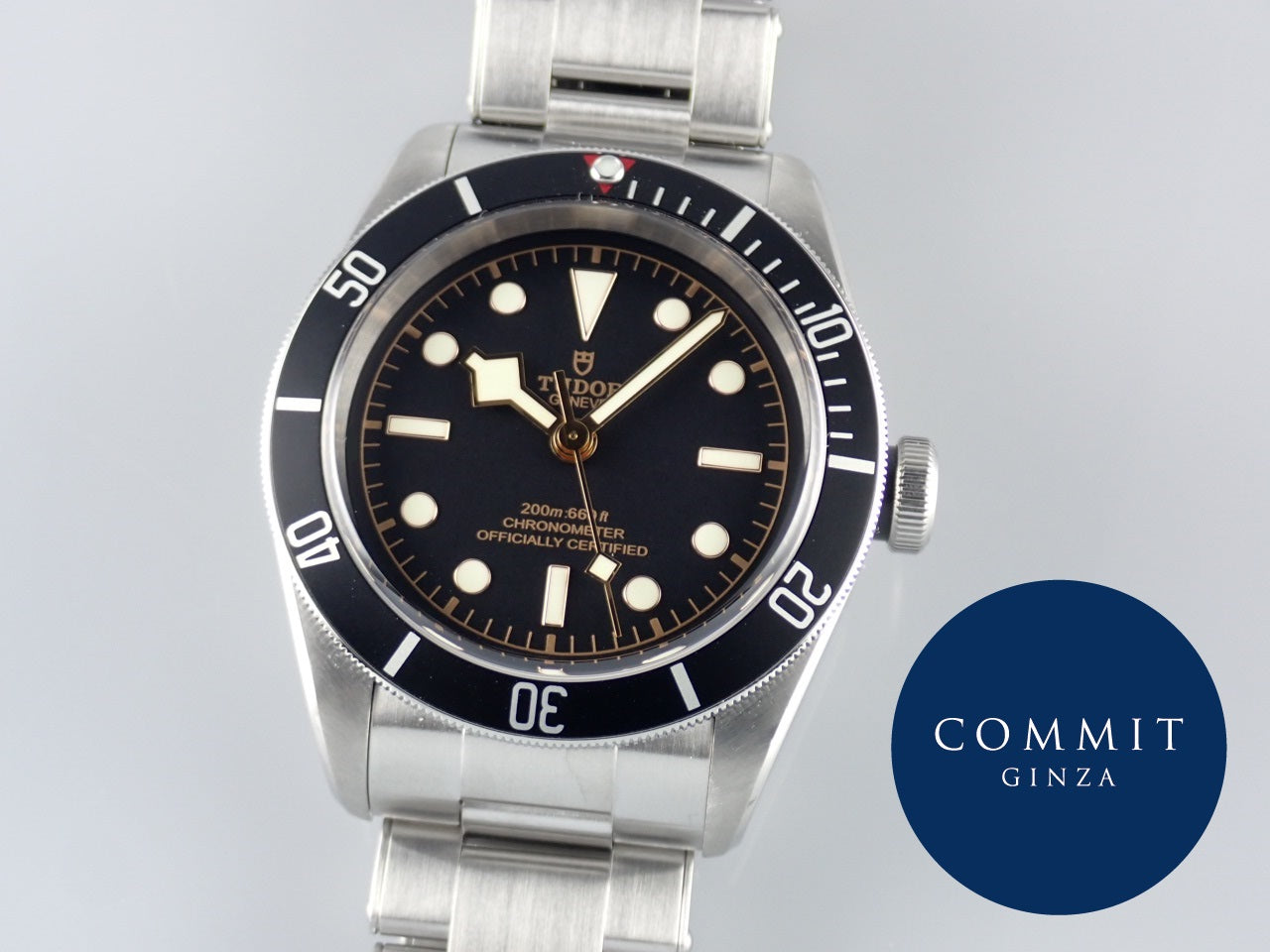 Tudor Heritage Black Bay &lt;Warranty, Box, etc.&gt;