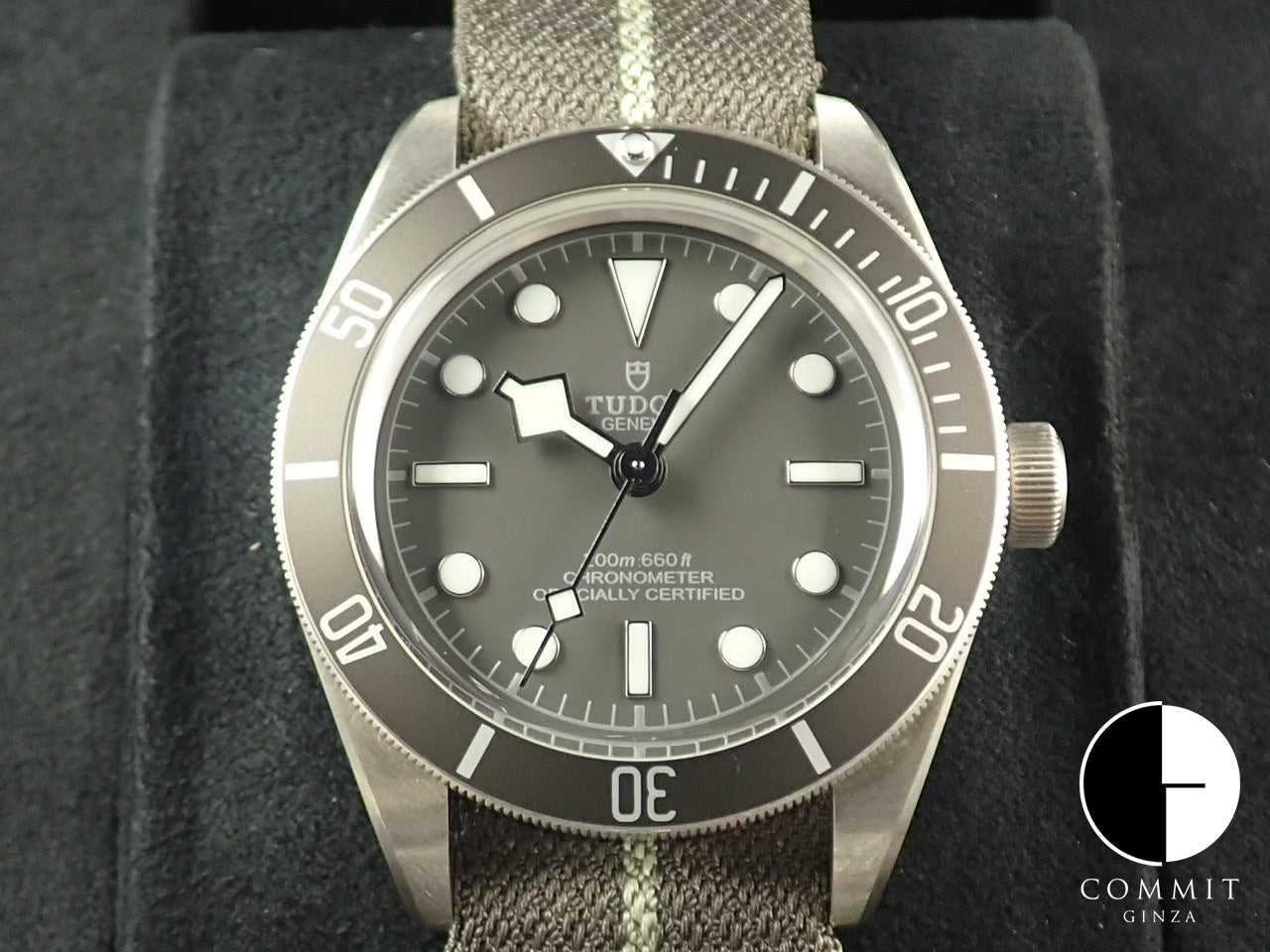 Tudor Black Bay 58 &lt;Warranty, Box, etc.&gt;