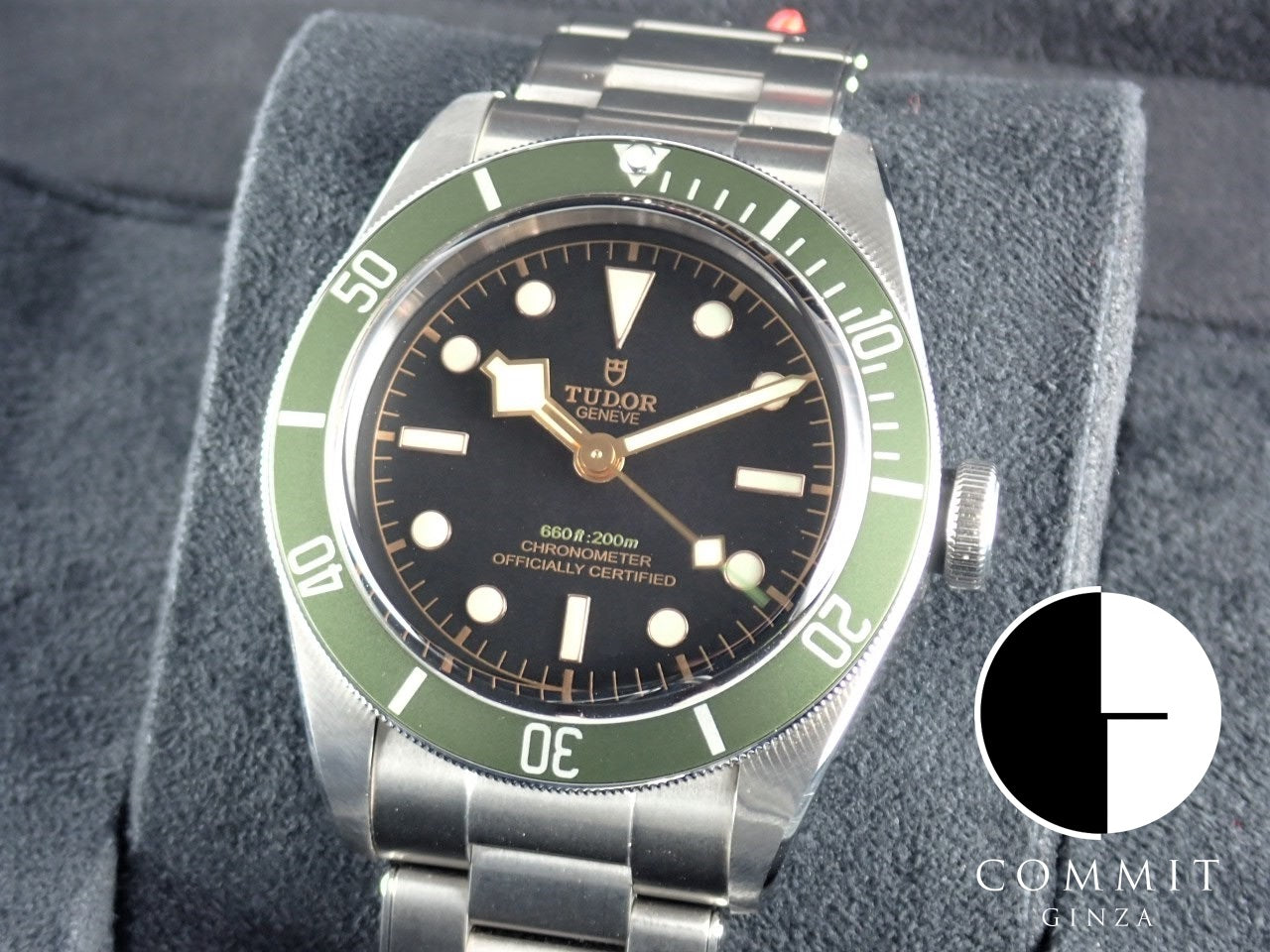 Tudor Black Bay Harrods Limited Edition Ref.79230G