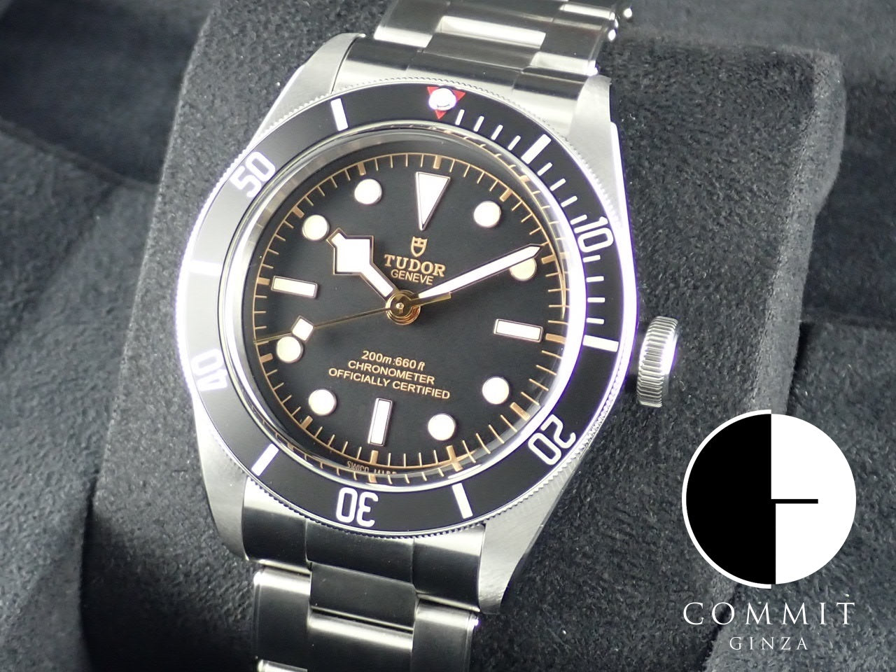 Tudor Heritage Black Bay [Good Condition] [Warranty, Box, etc.]