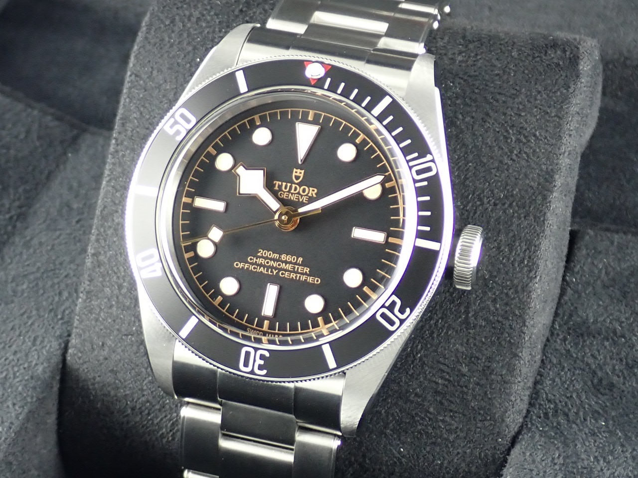 Tudor Heritage Black Bay [Good Condition] [Warranty, Box, etc.]