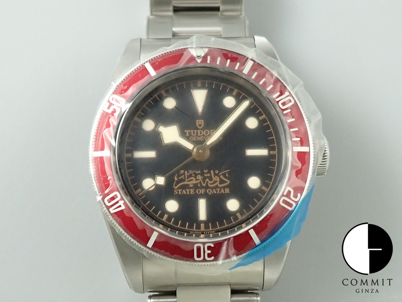 Tudor Black Bay