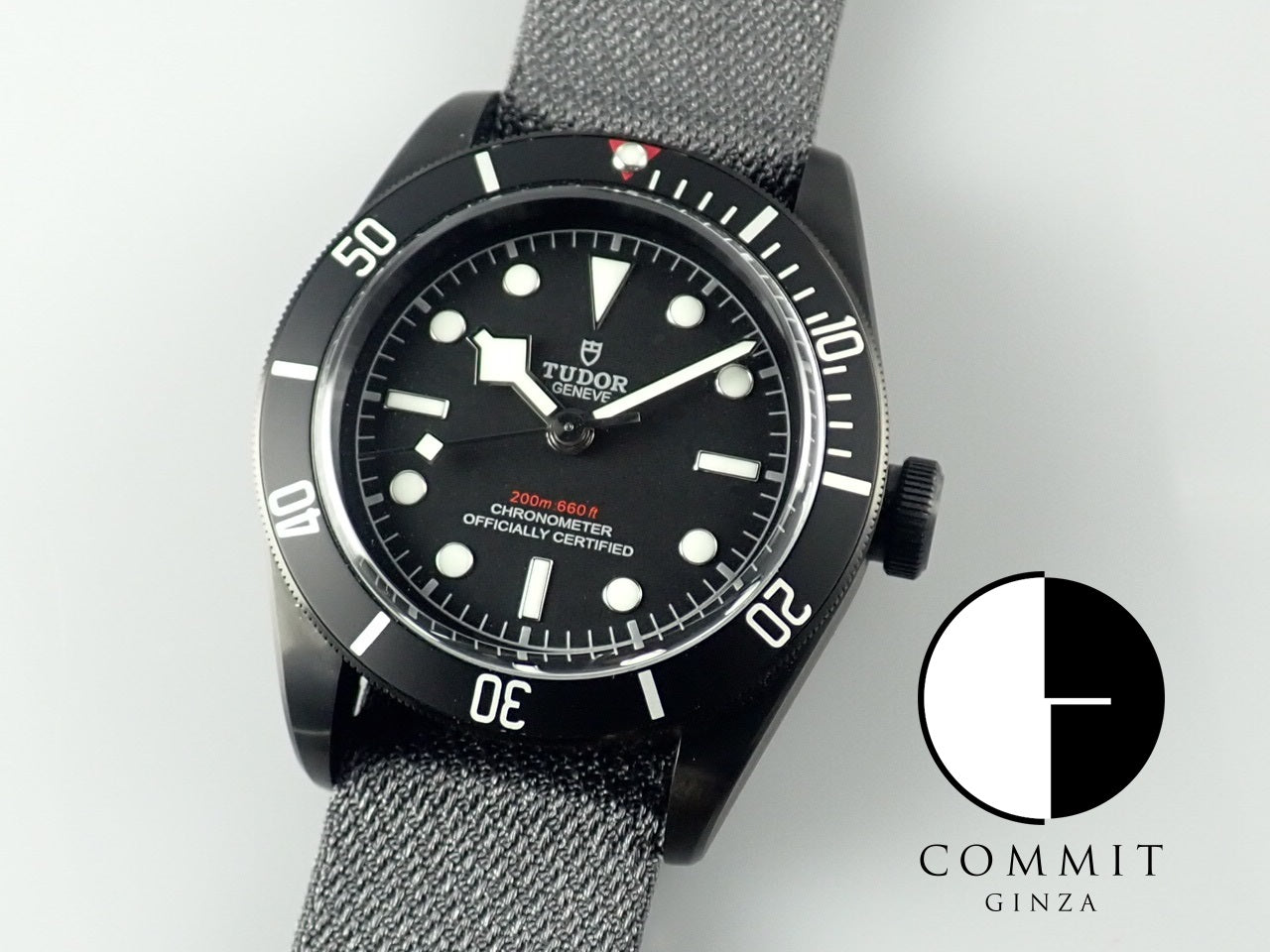 Tudor Black Bay Dark [Excellent condition] &lt;Warranty, box, etc.&gt;