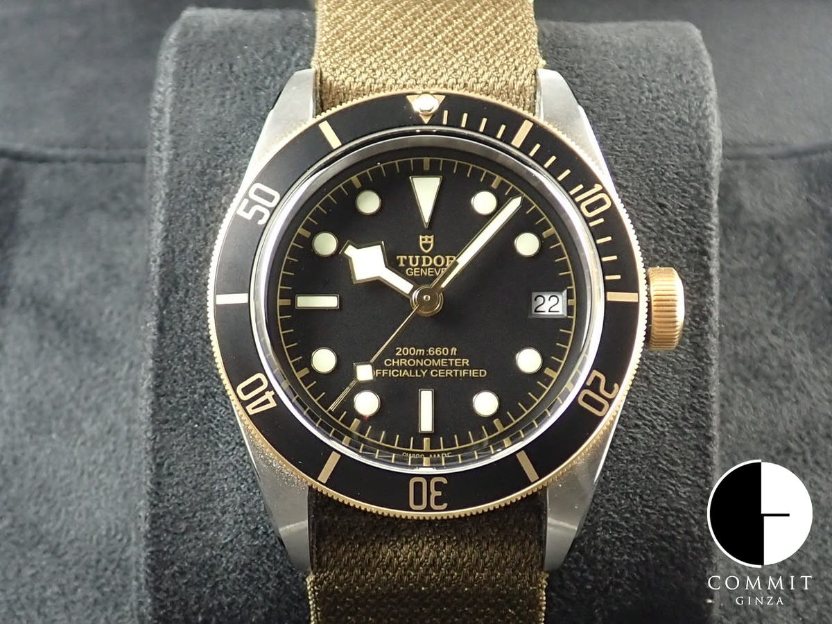 チューダー(チュードル) ブラックベイ Ref.79733N ブラック文字盤 美品 6Y8JRJSS