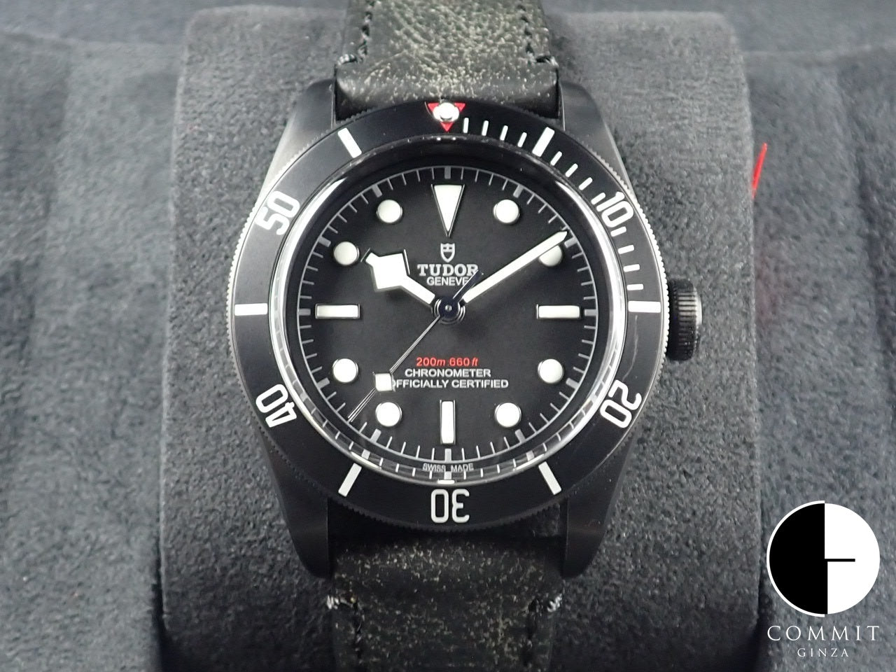 Tudor Black Bay Dark &lt;Warranty, Box, etc.&gt;