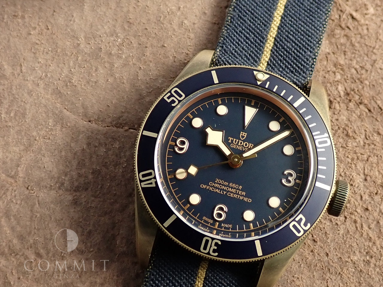 Tudor Black Bay Bronze &lt;Warranty, Box, etc.&gt;