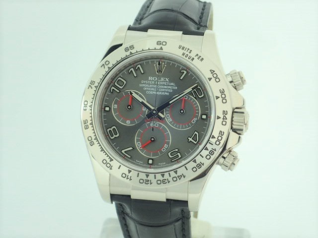 《5th Anniversary Special Price》1/23 Rolex Daytona Grey Arabic