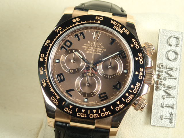 rolex daytona chocolate dial