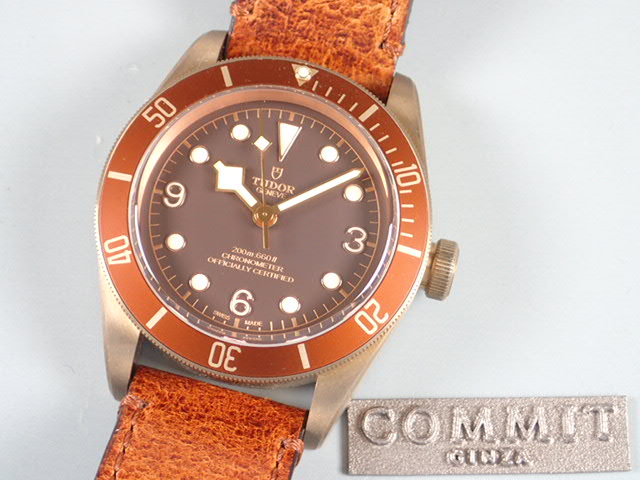 Tudor Heritage Black Bay Bronze Ref.79250BM