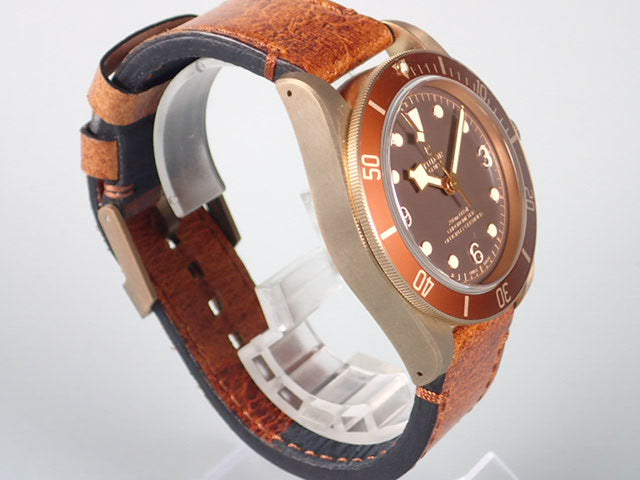 Tudor Heritage Black Bay Bronze Ref.79250BM