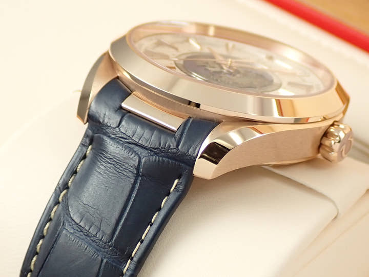 Omega Seamaster Aqua Terra GMT World Timer Ref.220.53.43.22.02.001 Silver Dial Used 5KST0600