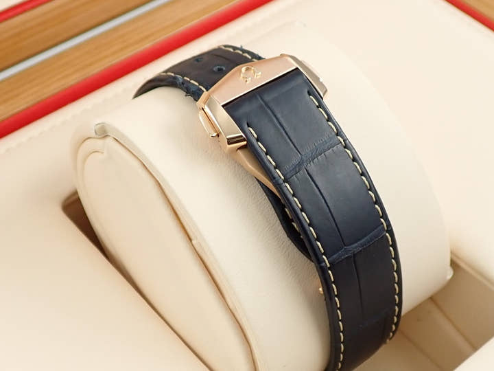Omega Seamaster Aqua Terra GMT World Timer Ref.220.53.43.22.02.001 Silver Dial Used 5KST0600